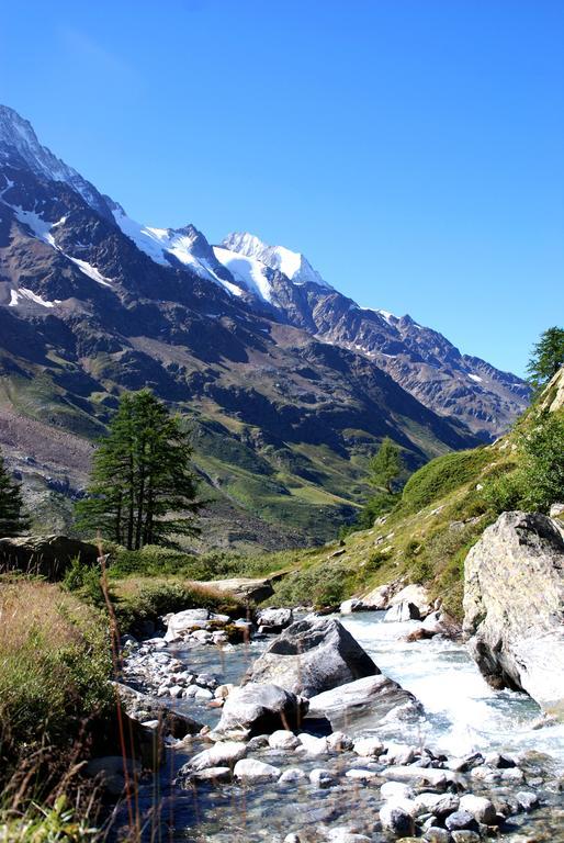 Alpenhotel Zur Wildi Lauchernalp Wiler المظهر الخارجي الصورة