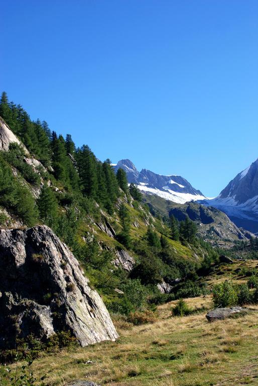Alpenhotel Zur Wildi Lauchernalp Wiler المظهر الخارجي الصورة