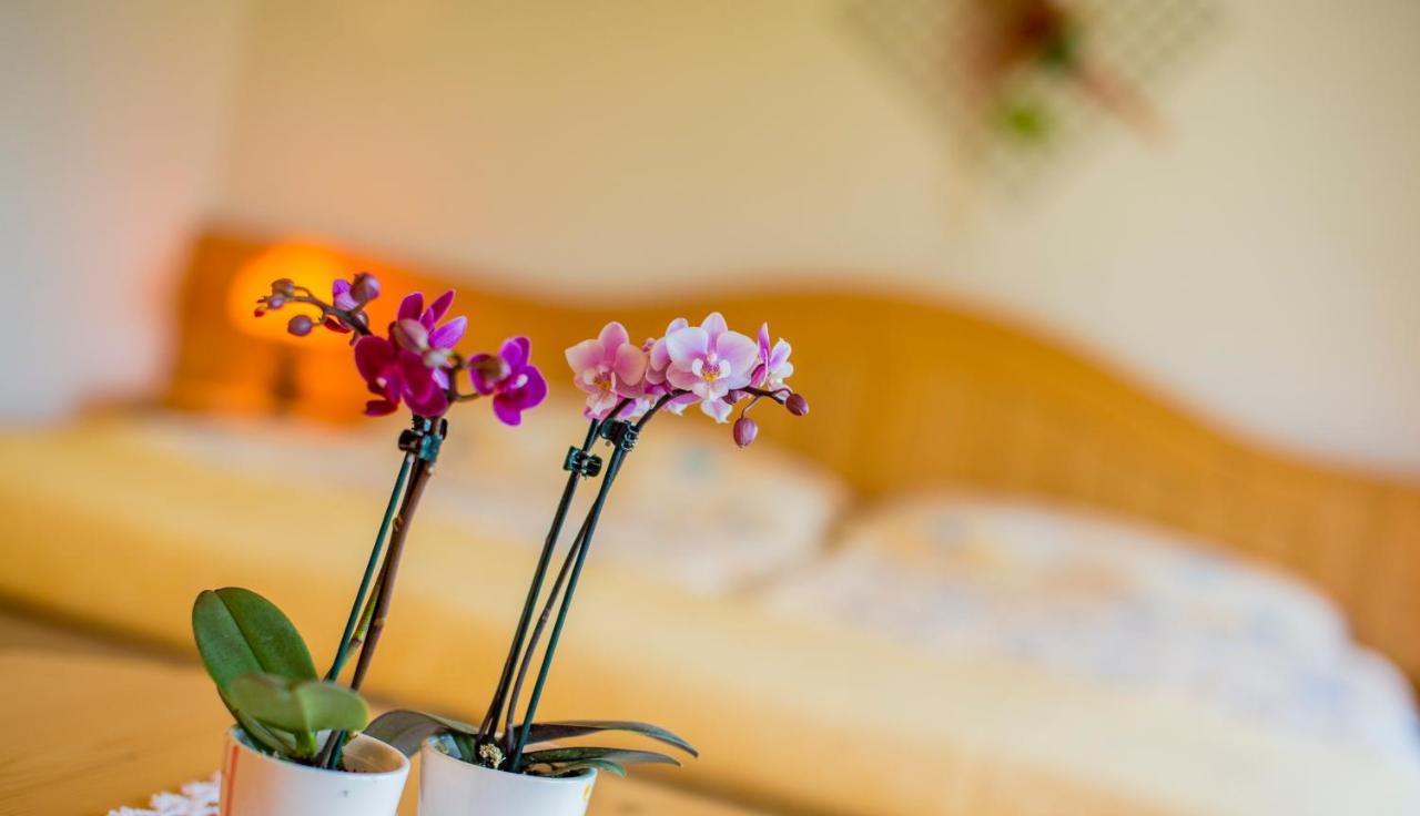 Alpenhotel Zur Wildi Lauchernalp Wiler المظهر الخارجي الصورة